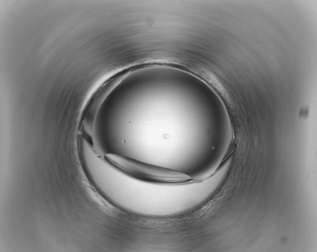 X0000094231132200711021156