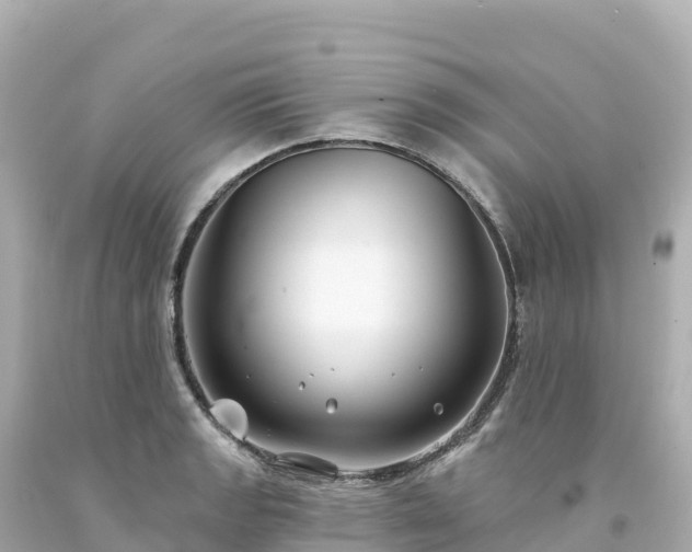 X0000094231133200711021156