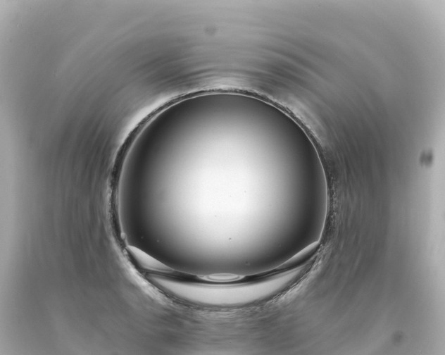 X0000094231134200711021156