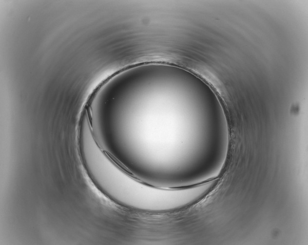 X0000094231135200711021156