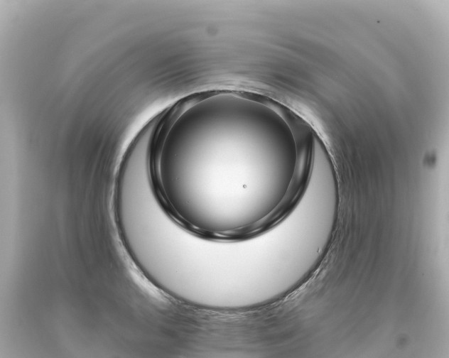 X0000094231136200711021156