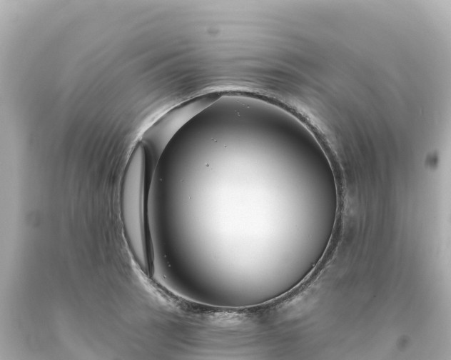 X0000094231137200711021156