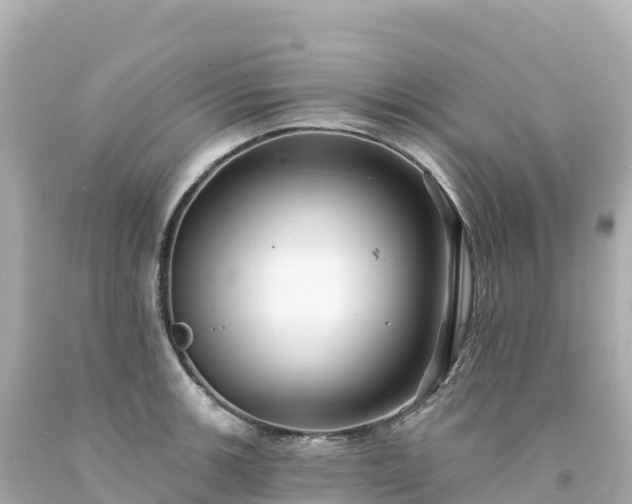 X0000094231139200711021157