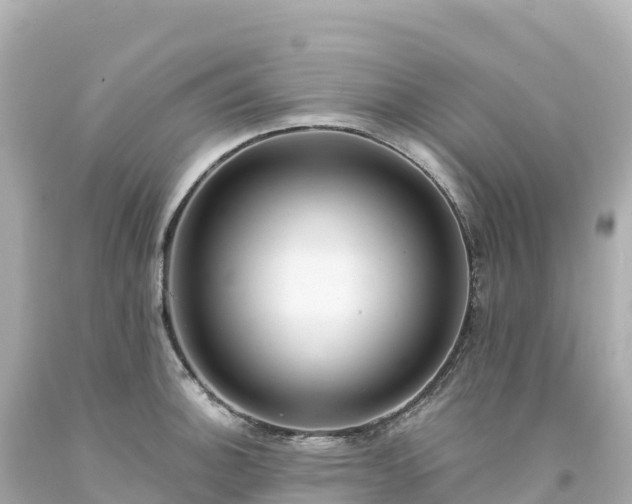 X0000094231140200711021157