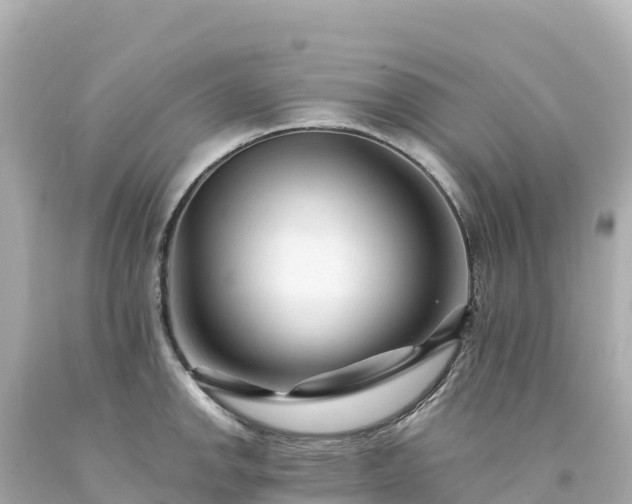 X0000094231142200711021157