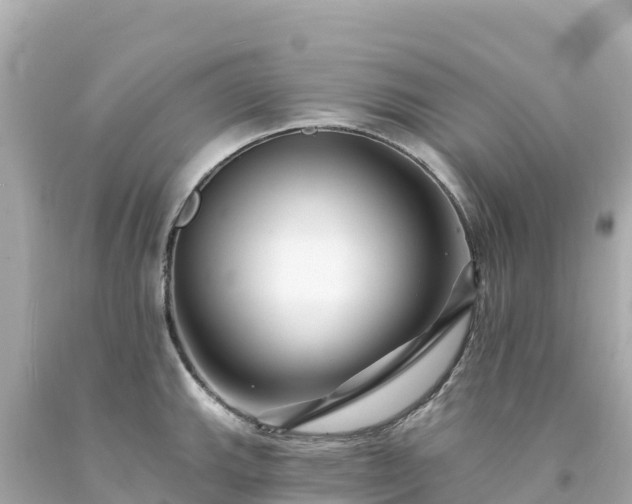 X0000094231143200711021157