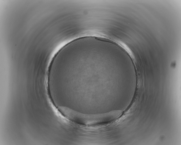 X0000094231144200711021157