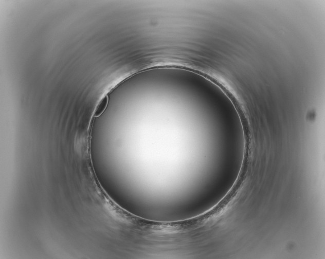 X0000094231145200711021157