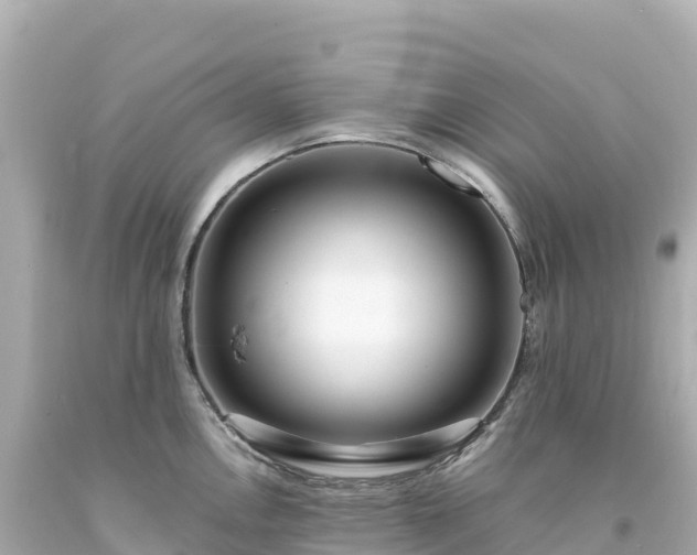 X0000094231146200711021157