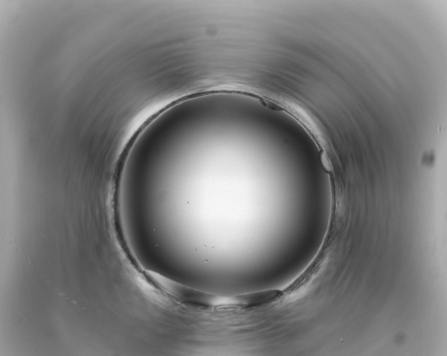 X0000094231149200711021157