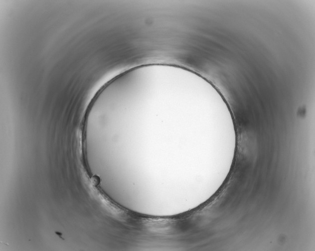 X0000094231150200711021157