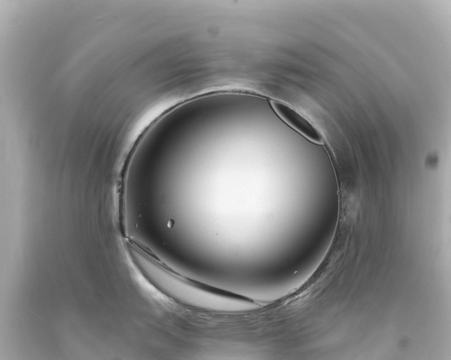 X0000094231151200711021157