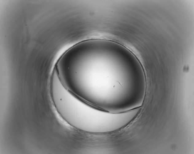 X0000094231152200711021157