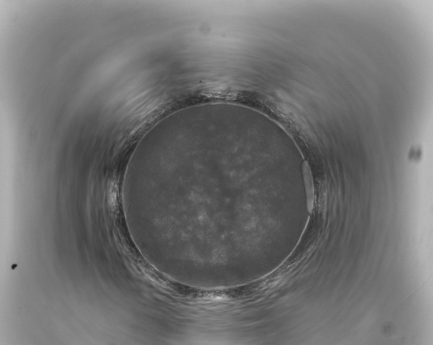 X0000094231154200711021156