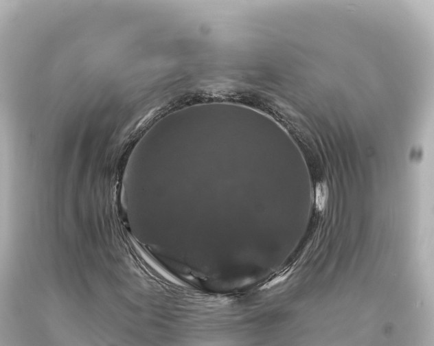 X0000094231155200711021156