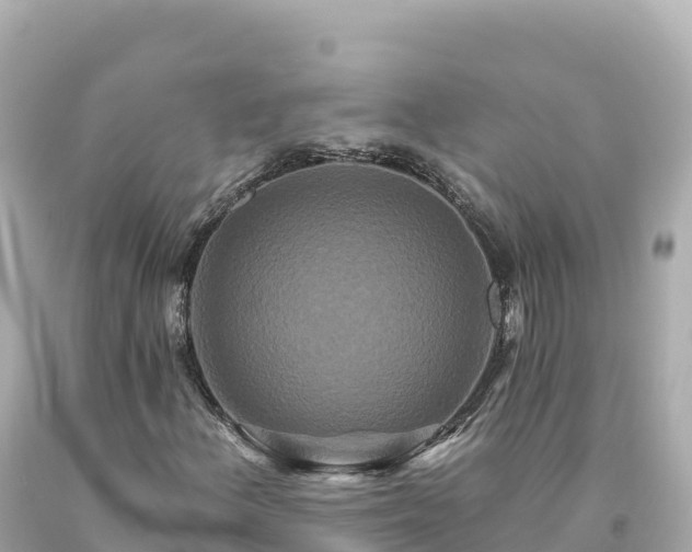 X0000094231156200711021156