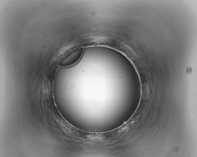 X0000094231158200711021156