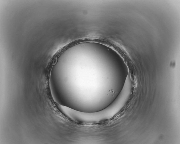 X0000094231160200711021156