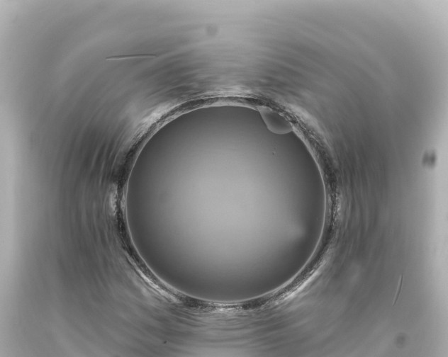 X0000094231161200711021156