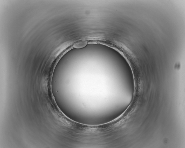 X0000094231162200711021156