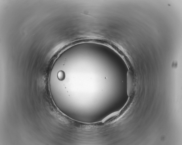 X0000094231163200711021156