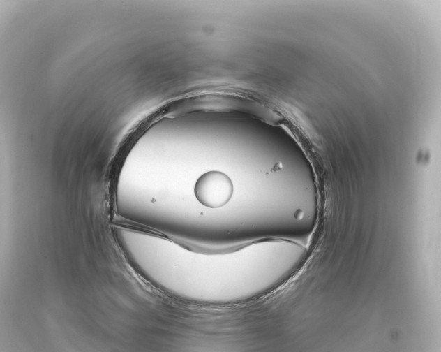 X0000094231164200711021156