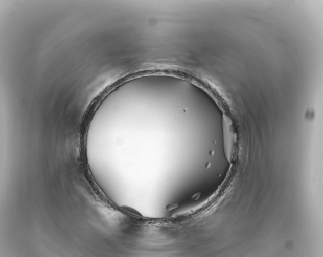 X0000094231165200711021156