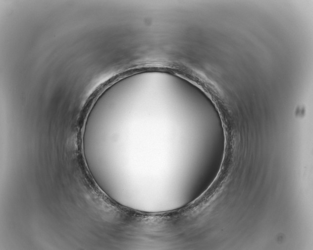 X0000094231166200711021156