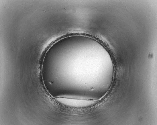 X0000094231167200711021156