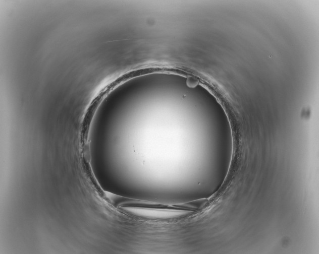 X0000094231168200711021156