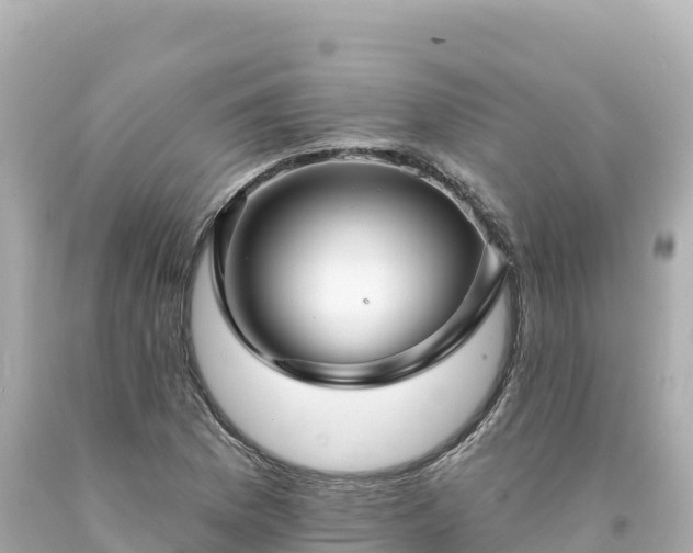 X0000094231169200711021156