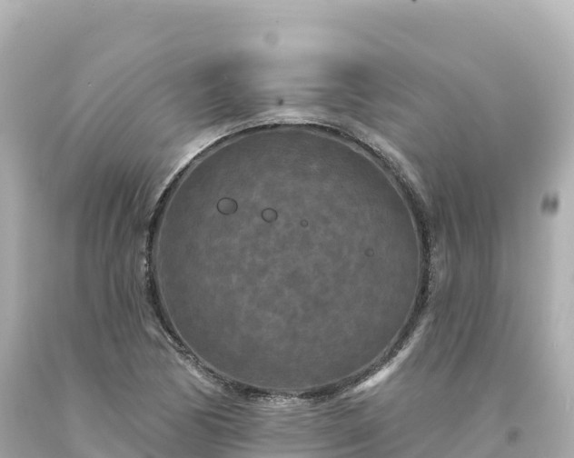 X0000094231170200711021156