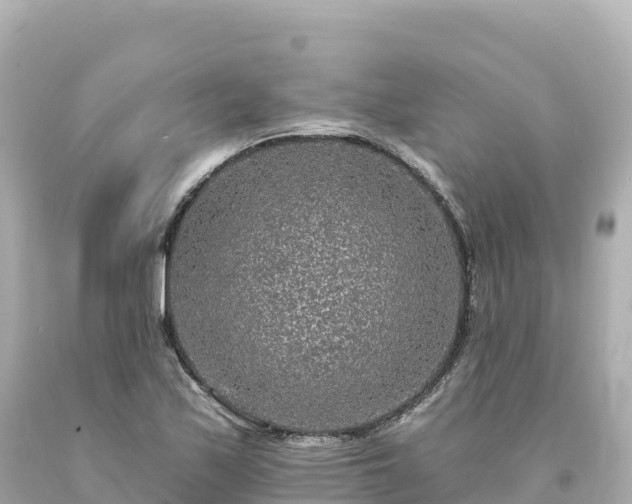 X0000094231171200711021156