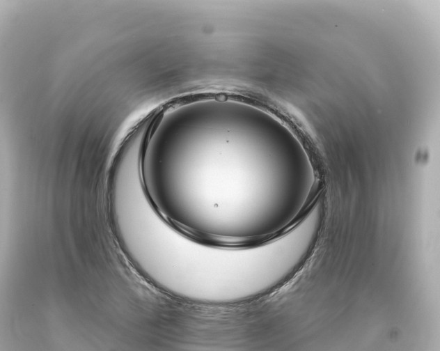 X0000094231172200711021156