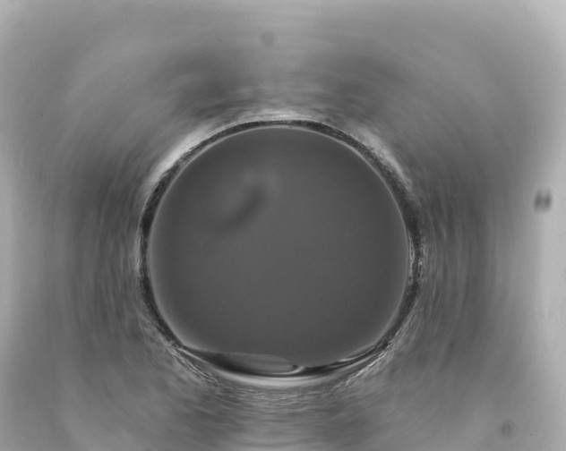 X0000094231173200711021156