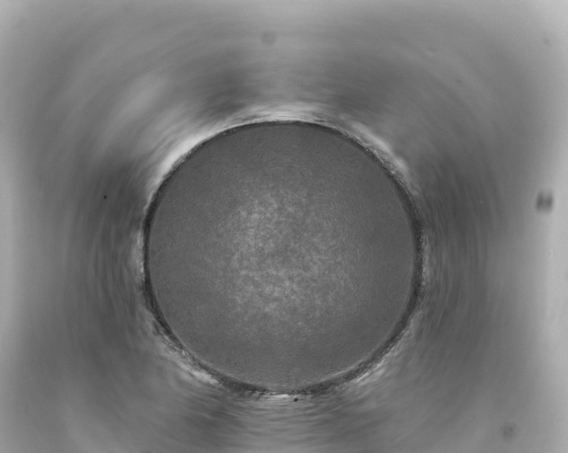 X0000094231174200711021156