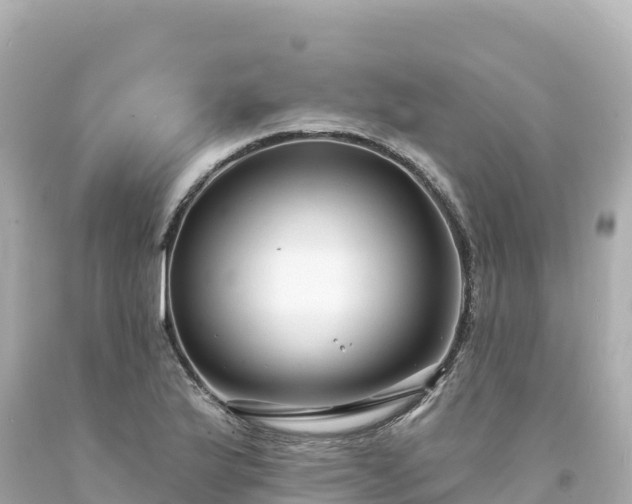 X0000094231175200711021156