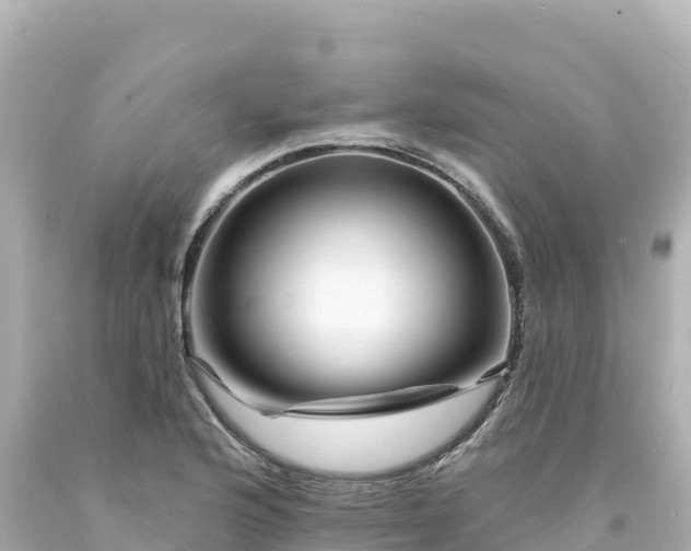 X0000094231176200711021156