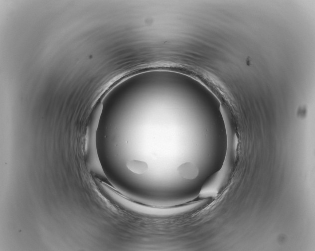 X0000094231177200711021156