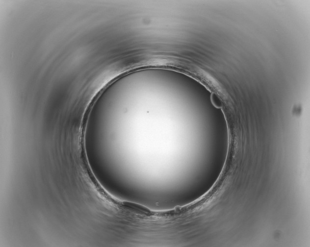 X0000094231178200711021156