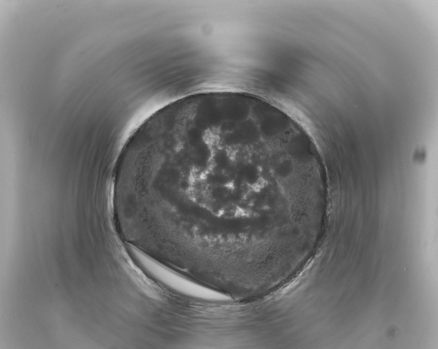 X0000094231179200711021156