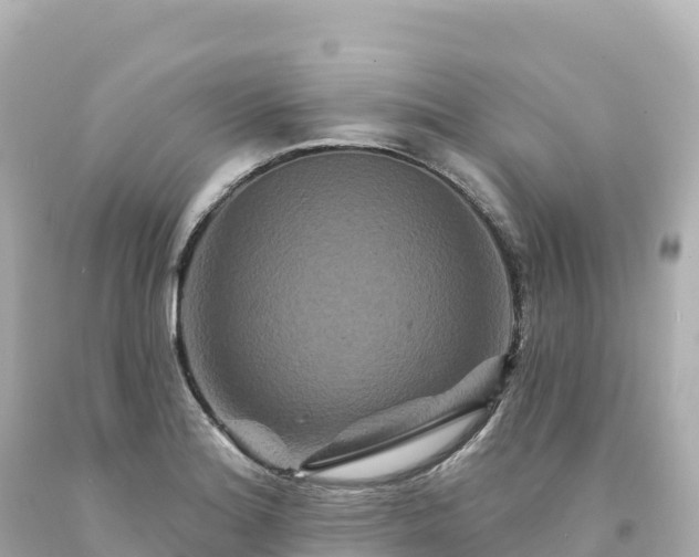 X0000094231180200711021156