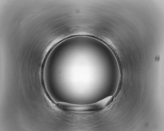 X0000094231181200711021155