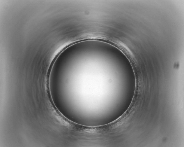 X0000094231182200711021155