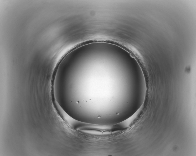 X0000094231183200711021155