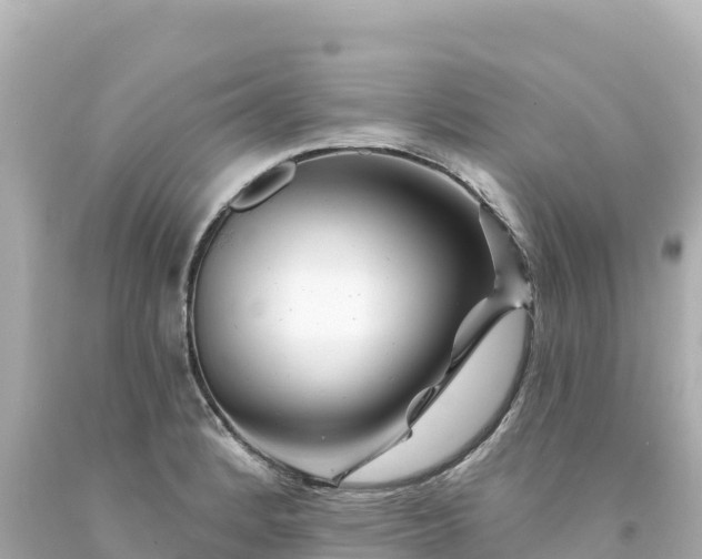 X0000094231184200711021155