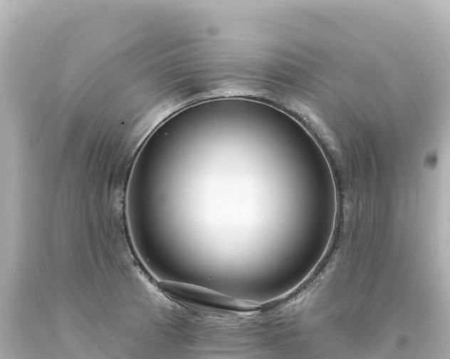 X0000094231185200711021155