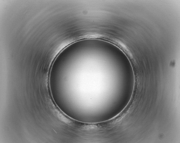 X0000094231186200711021155