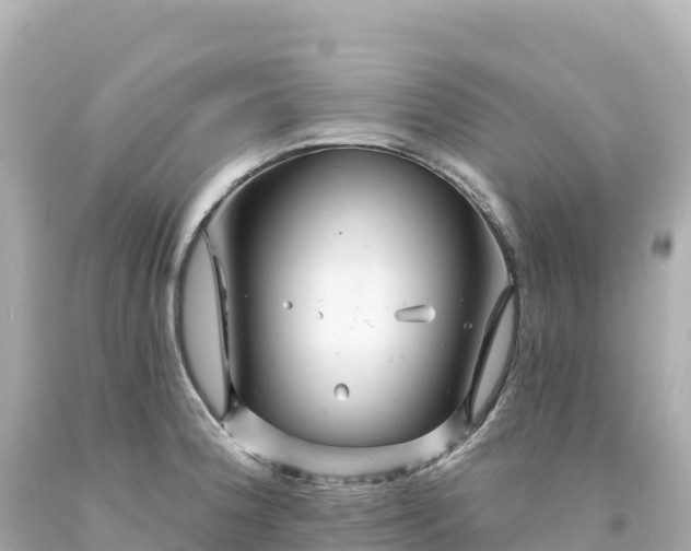 X0000094231188200711021155