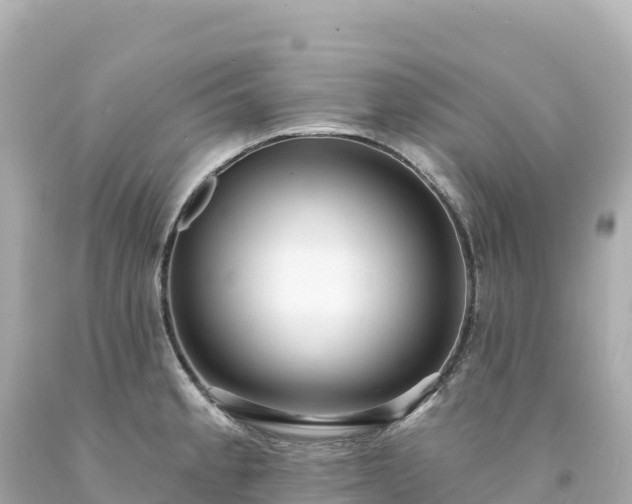 X0000094231189200711021155